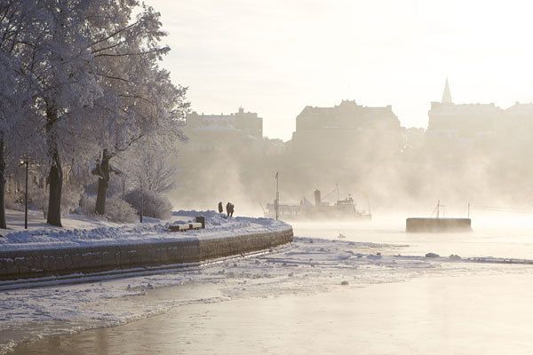 Stockholm Winter Tour by Boat - Customer Reviews