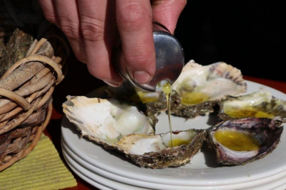 Ston Oysters and Wine Tasting Tour From Dubrovnik - Inclusions