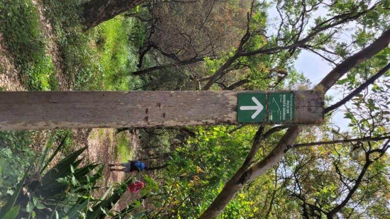 Summit Hike Monte Gordo - What to Bring