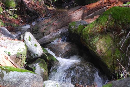 Sunny Pines Cottage - Booking Information