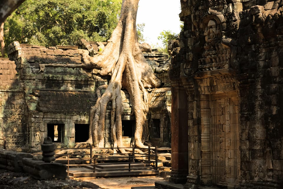 Sunrise at Angkor Wat and Full Day Visit Bayon, Ta Promh - Phimeanakas and Terrace of Elephants