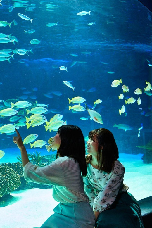 Sunshine Aquarium - Customer Feedback and Ratings
