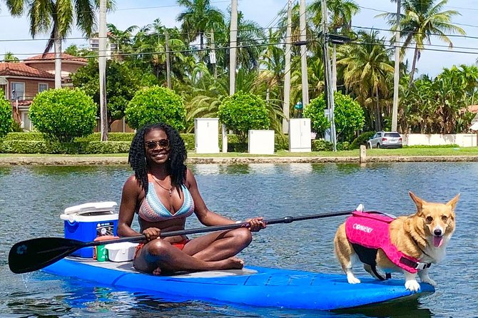 SUP PUP Paddleboard Tour - Customer Experiences