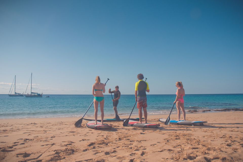 SUP Taster Course in the Picturesque Bay of Morro Jable - Paddling Techniques and Instruction