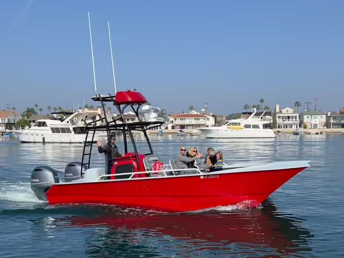 Superior 2hr Private Whale & Dolphin Watching Newport Beach - What to Bring