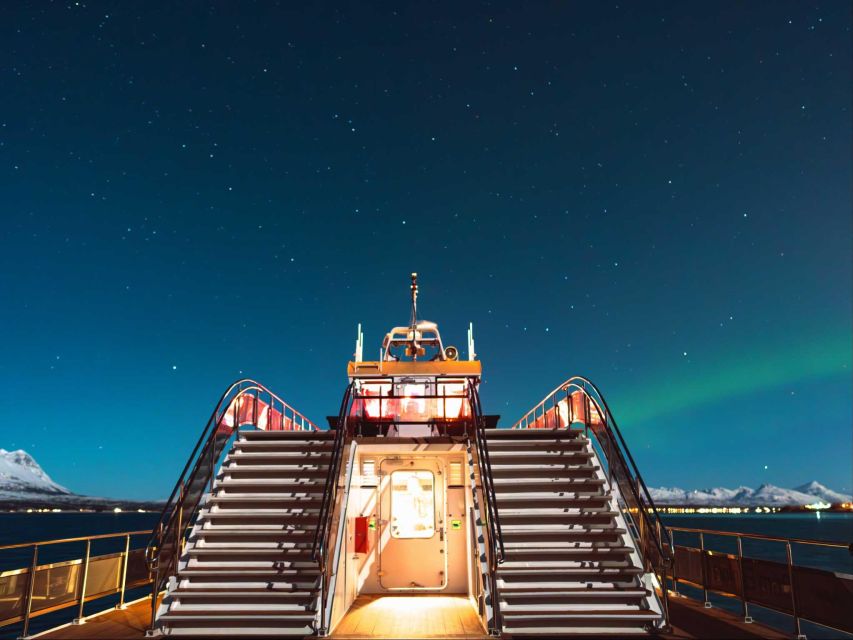 Svolvær: Northern Lights and Full Steam Cruise With Tasting - Inclusions and Accessibility