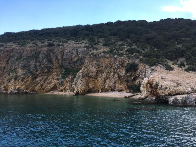 Swim and Snorkel With Capt. Bobo on Plavnik Island (Private) - Booking Information