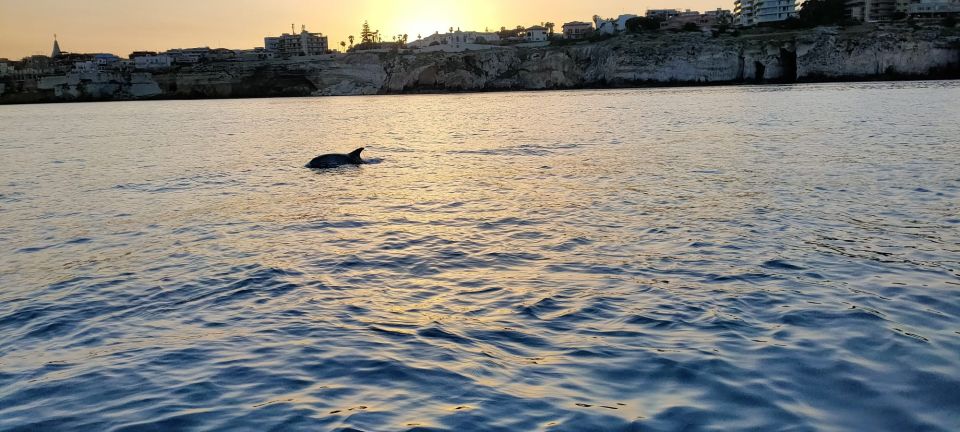 Syracuse: Ortigia Island and Sea Caves Boat Tour - Guided Tour Details