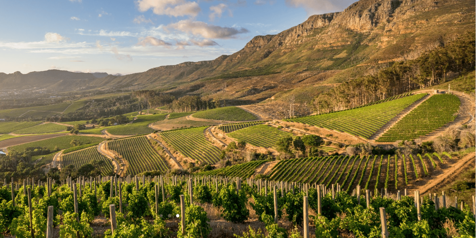 Table Mountain and Constantia Wine Tasting Private Tour - The Sum Up