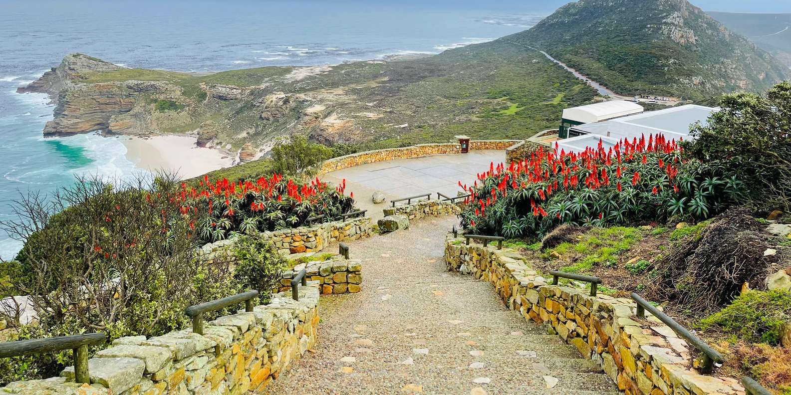 Table Mountain to Cape of Good Hope Penguin Private Tour - Navigating the Winding Chapmans Peak Drive