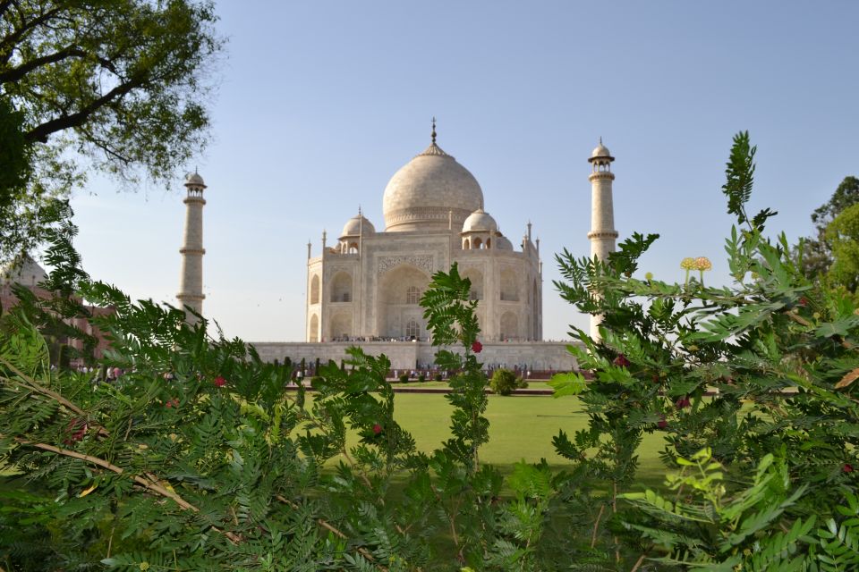 Taj Mahal, Agra: Sunrise Tour From New Delhi by Car - Language Options