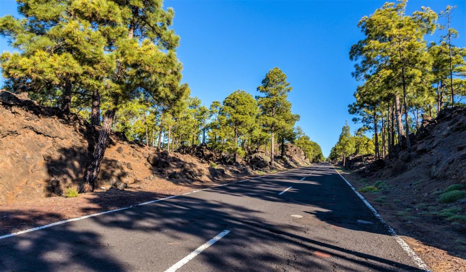 Teide: Guided Sunset & Stargazing Tour by Night With Dinner - Pickup and Transportation