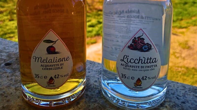Tempio Pausania: Visit a Distillates Workshop With Tasting - Guided Tour Details