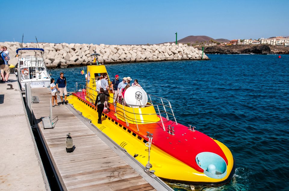 Tenerife: 50-Minute Submarine Dive - Marine Life Sightings