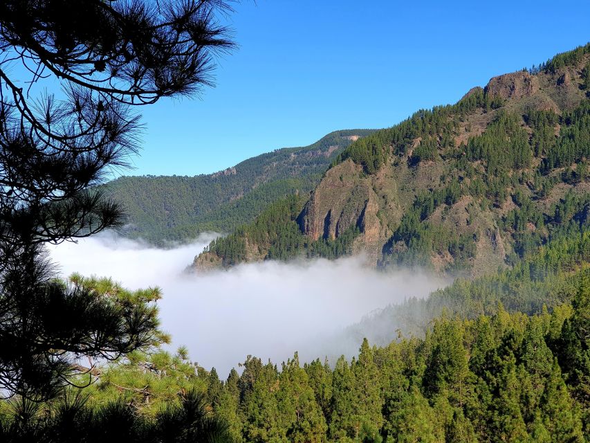 Tenerife: Barranco De Los Arcos - Canyoning in Tenerife - Maximum Height and Group Size