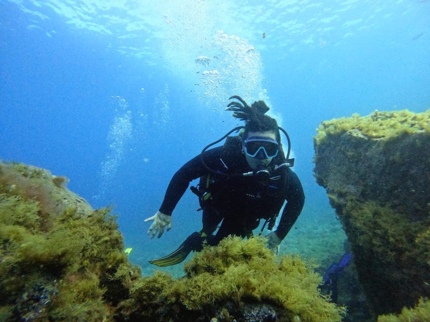 Tenerife: Beginners Dive at a Spot With Turtle Sightings - Group Size and Instructor Details