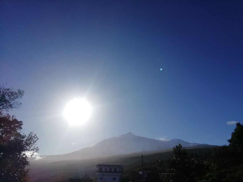 Tenerife: Guided Horseback Riding Tour to the Lomo Forest - Pre-ride Preparation