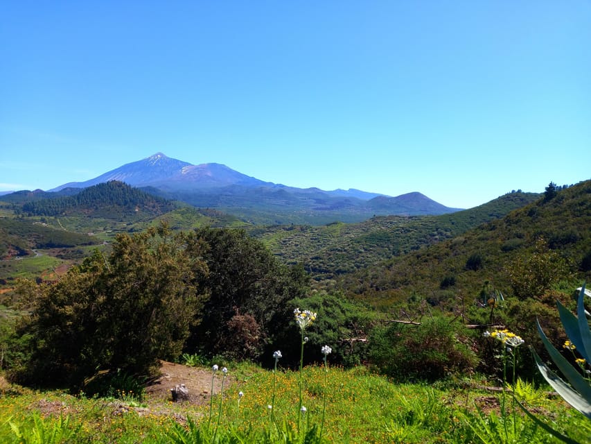 Tenerife: Hiking Above the Village of Masca - Guided Tour and Group Size