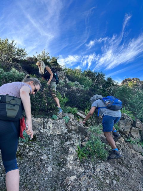 Tenerife: Hiking Tour Above Masca and Enchanted Forest - Customer Reviews and Feedback