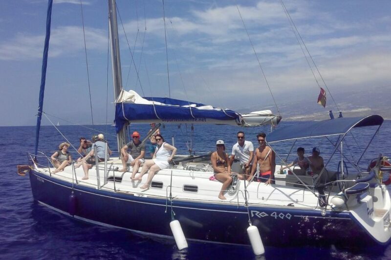 Tenerife: Luxury Private Whale & Dolphin Watching Tour - Wildlife Sightings