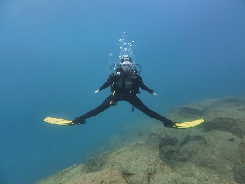 Tenerife: PADI Open Water Diver Course - Learning Components