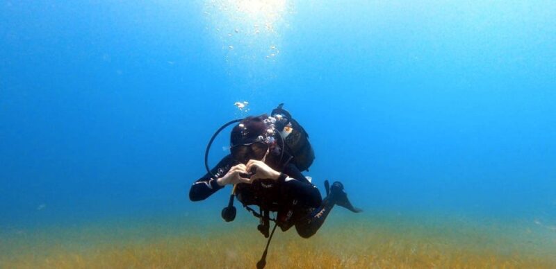 Tenerife: Scuba Diving Lesson and Abades Protected Area Dive - Customer Feedback and Reviews