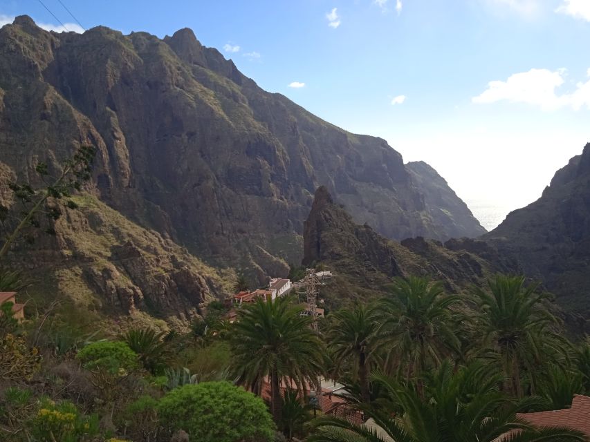 Tenerife: Teide, Icod De Los Vinos, Garachico & Masca Tour - Customer Experiences