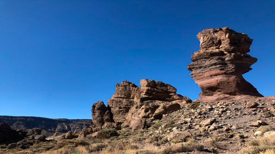 Tenerife: Teide National Park Guided Full-Day Trip by Bus - Customer Reviews and Highlights