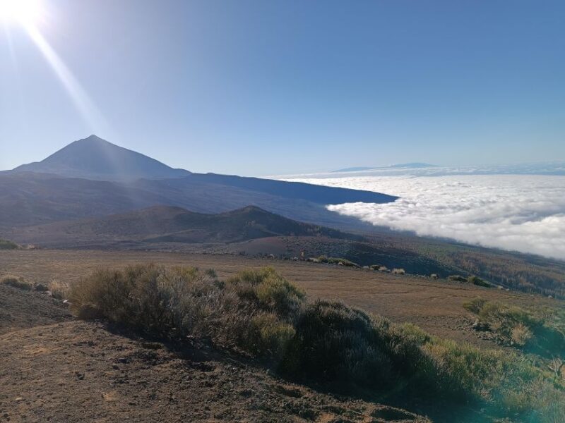 Tenerife: Teide & Stars + Guachinche Lunch + Cava Vip Tour - Nature and Scenery