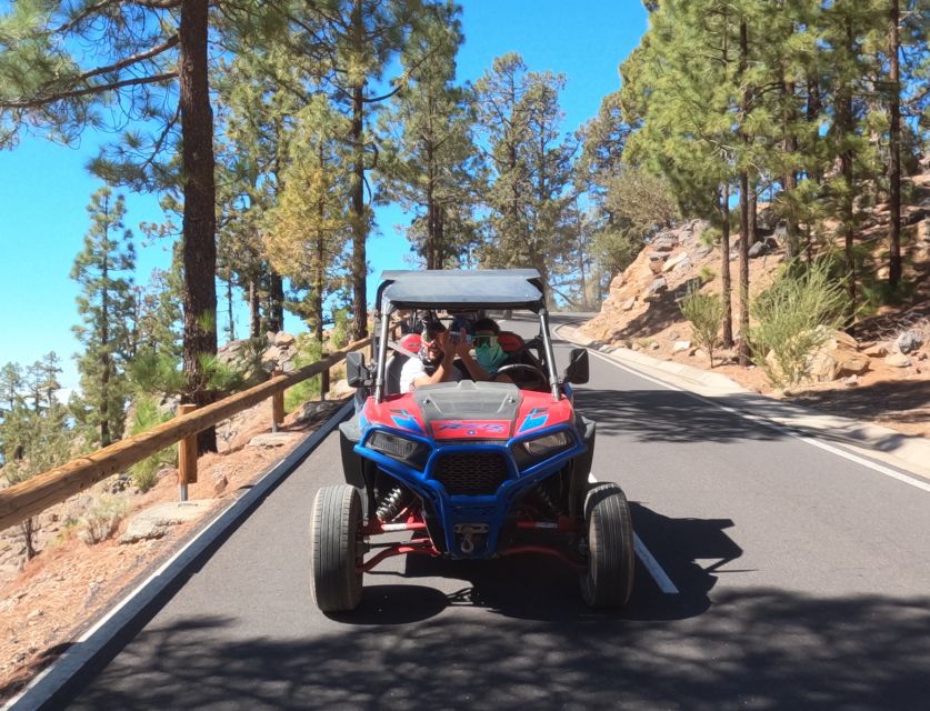 Tenerife: Volcano Teide Buggy Tour With Wine Tasting & Tapas - Scenic Drives