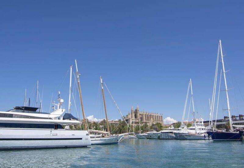 The Best of Palma: Boat Trip, Walking Tour and Cathedral - Almudaina Palace and Town Hall Square