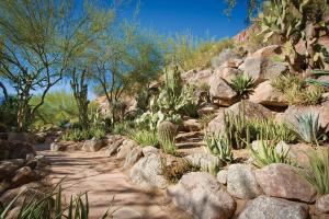 The Canyon Suites at The Phoenician, a Luxury Collection Resort, Scottsdale - Dining Options