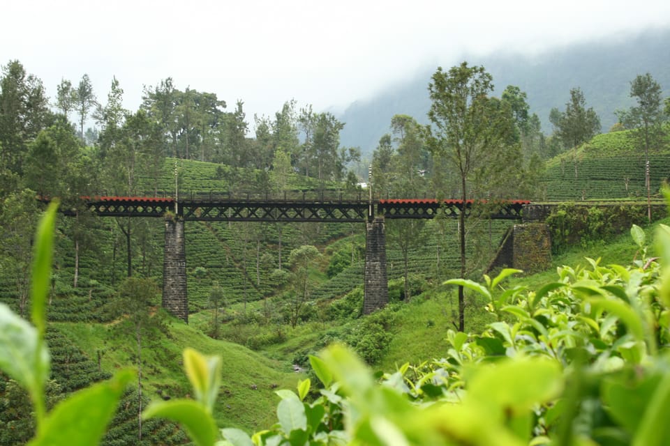 The Most Beautiful Places in Sri Lanka 3 Days Tour - Important Information and Restrictions