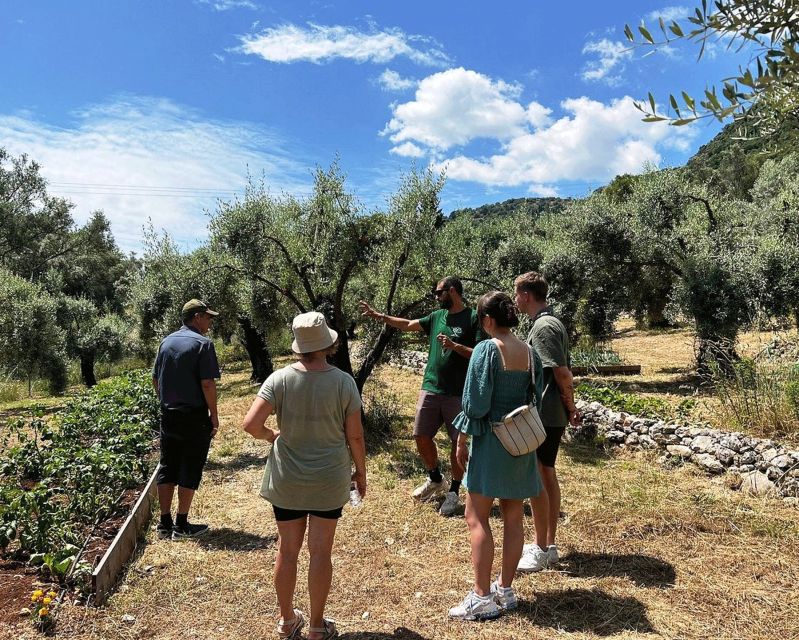 The Olive Oil Experience @ Lefkada Micro Farm - Tasting the Olive Varieties