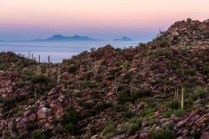 The Ritz-Carlton, Dove Mountain - Activities and Services