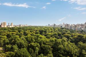 The Ritz-Carlton New York, Central Park - Dining Options