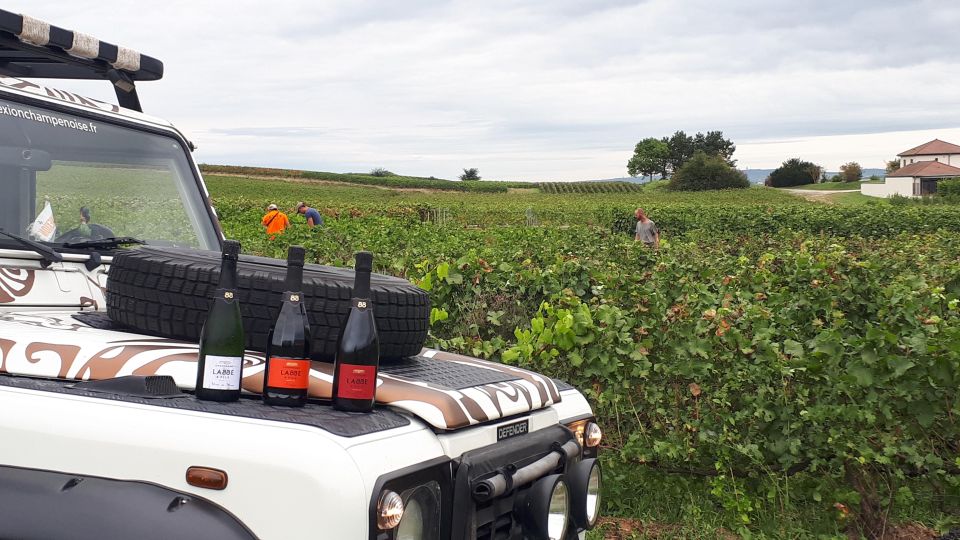 The Royal Connection: Day, Visit, Champagne and Terroir. - Highlights of the Tour