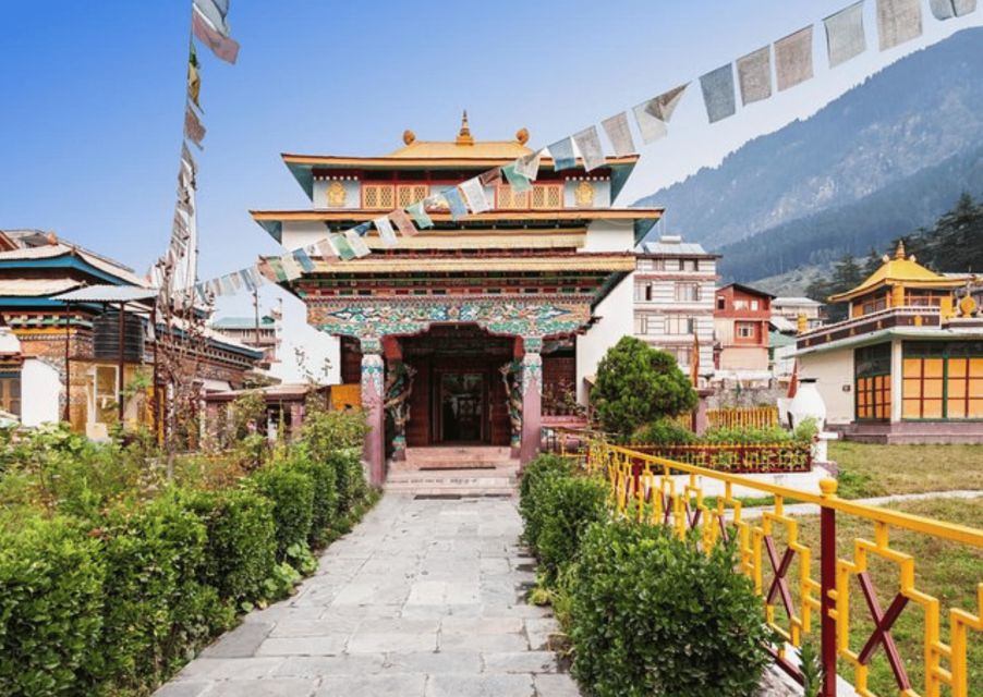 The Spiritual Trails of Dharamshala(Guided Walking Tour) - Knowledgeable Guide and Insights