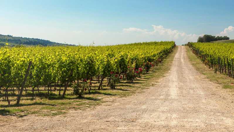 The Torriano Wine Experience Room - Guided Tour Focus