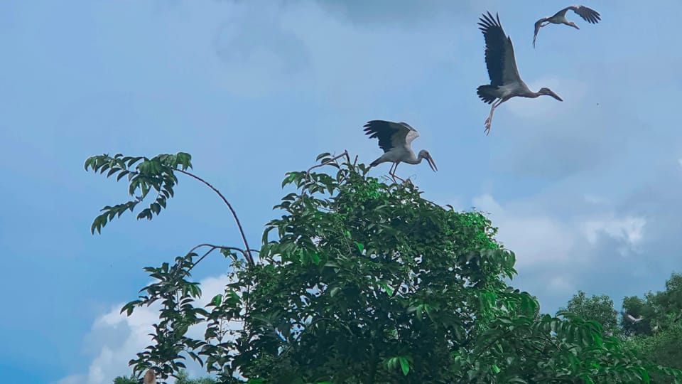 The Untouched Splendor of Lung Ngoc Hoang Nature Reserve - Cultural Significance of the Area