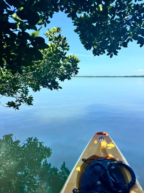 Tierra Verde: Shell Key Mangrove Private Guided 1.5 Hr Tour - Restrictions and Suitability