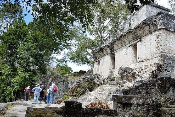 Tikal From Flores or Mundo Maya Airport With Transportation, Local Guide and Lunch - Knowledgeable Guides