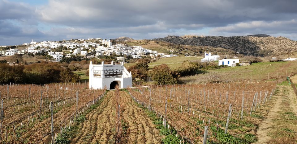 Tinos: Winery Tour and Wine Tasting Paired With Snacks - Weather Policy and Customer Reviews