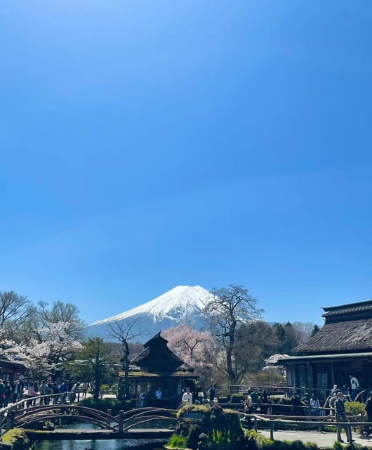 Tokyo 23wards-Fuji Day Tour: 10 Hours Private Car Use - Language Support and Driver