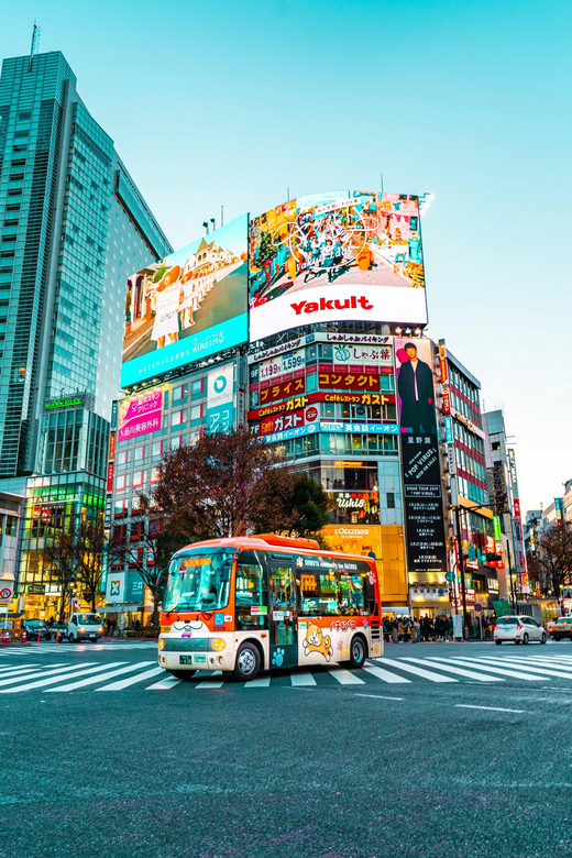 Tokyo: Affordable & Customizable Walking Tour - Recap