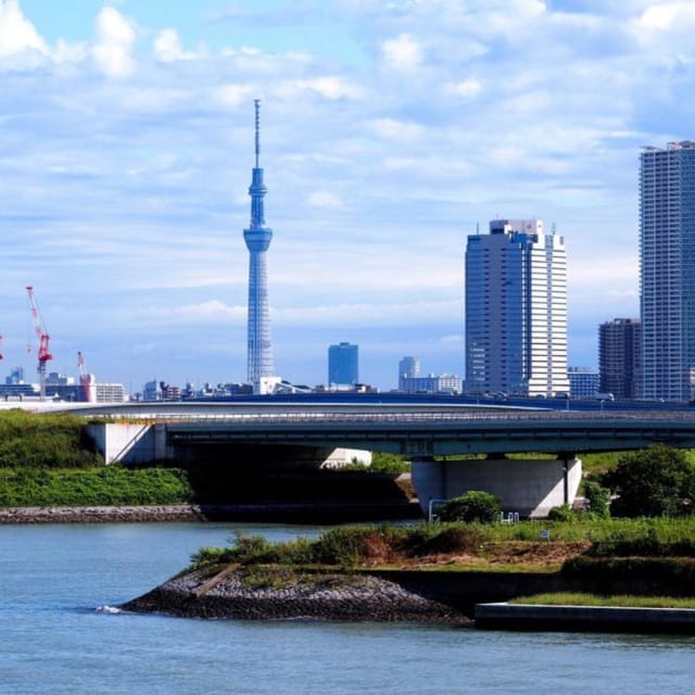 Tokyo Customize Private City Tour By English Speaking Driver - Recommendations for Participants