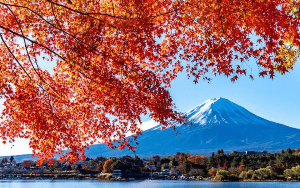 Tokyo Day Trip -Mount Fuji Private Tour From Tokyo - Exclusions and Additional Costs