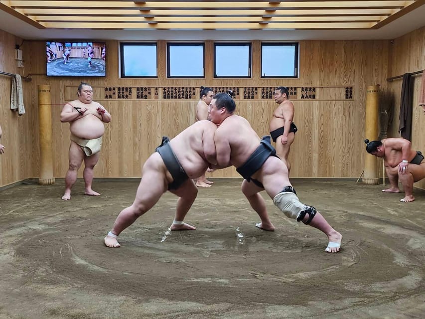 Tokyo: Grand Sumo Morning Training Tour - Customer Reviews and Ratings