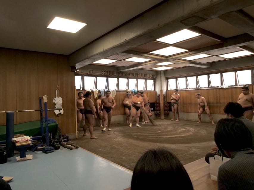 Tokyo: Guided Sumo Stable Visit for Morning Practice - What to Expect During Practice