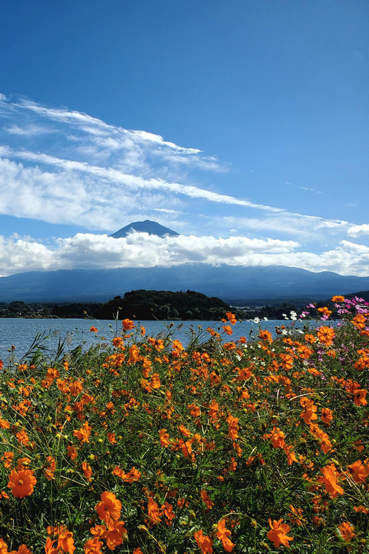 Tokyo, Mount Fuji and Hakone 3 Days Tour - Day 3: Discovering Hakone